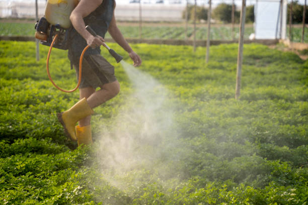 Best Exterminator Services  in Xtonia, PA